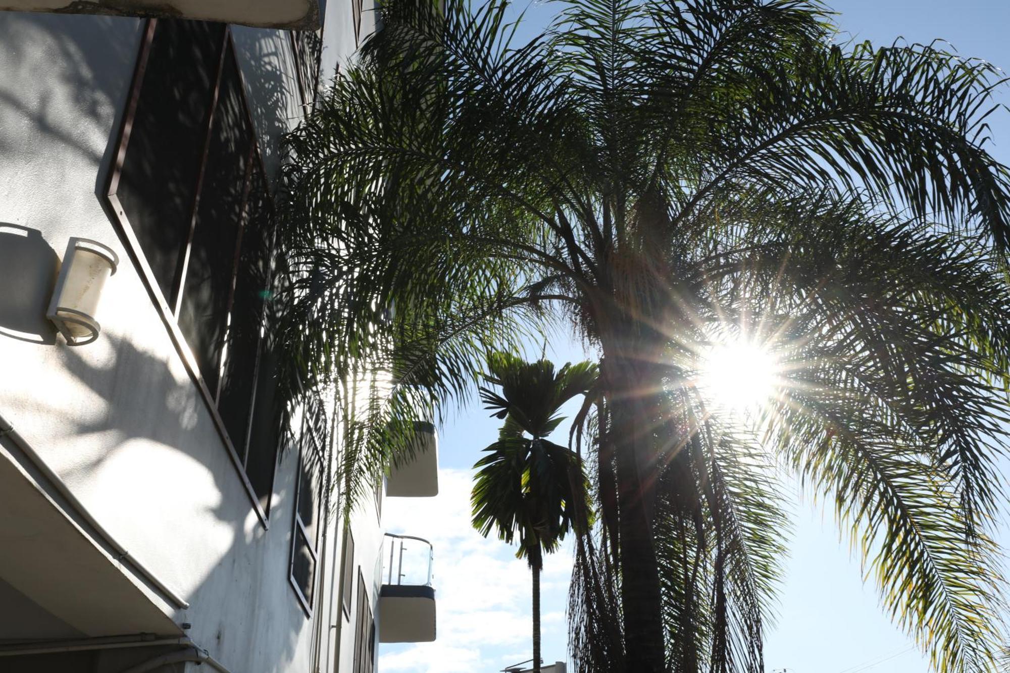 Tropical Plaza Apt Nadi Eksteriør billede